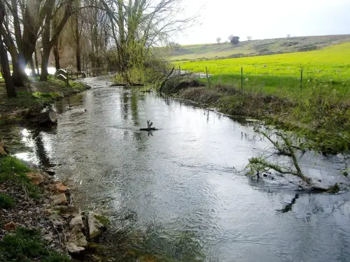 Rios076-Rio-del-Ojuelo-Fuentes-del-Guadiana-Viveros