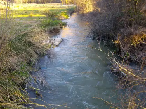 Rios076a-Rio-del-Ojuelo-Fuentes-del-Guadiana-Viveros