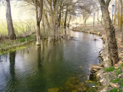 Rios077-Rio-del-Ojuelo-Fuentes-del-Guadana-Viveros