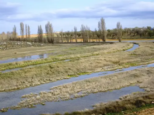 Rios078-Rio-del-Ojuelo-Fuentes-del-Guadiana-Viveros