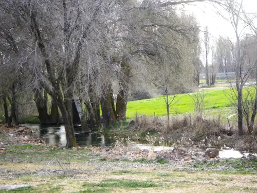 Rios078b-Rio-del-Ojuelo-o-de-Pinilla