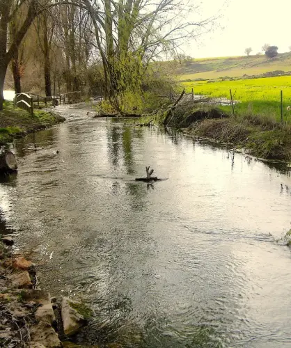 Rios078c-Rio-del-Ojuelo-o-de-Pinilla