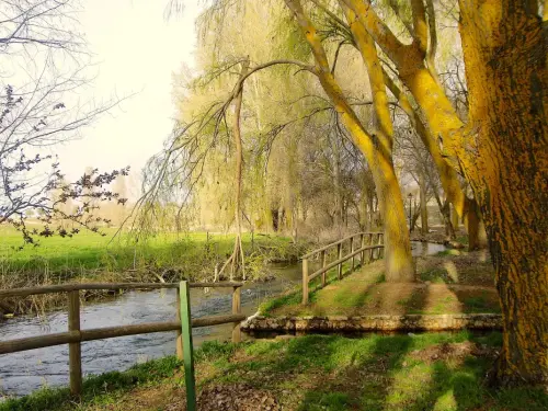 Rios078e-Rio-del-Ojuelo-o-de-Pinilla