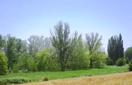 Rios079-Rio-de-Sotuelamos