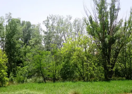 Rios079a-Rio-de-Sotuelamos