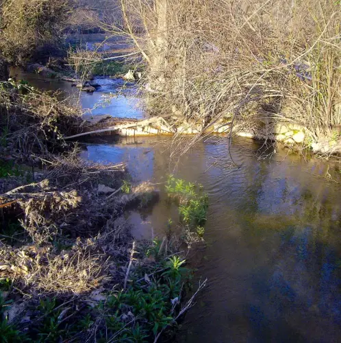 Rios080-Rio-de-Sotuelamos