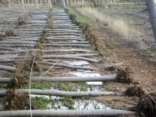 Rios081a-Rio-de-Sotuelamos