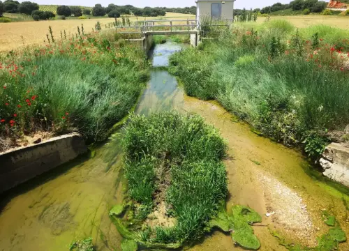 Rios082-Rio-Corcoles