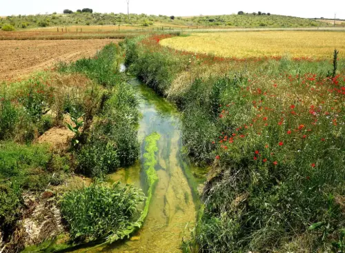 Rios082a-Rio-Corcoles