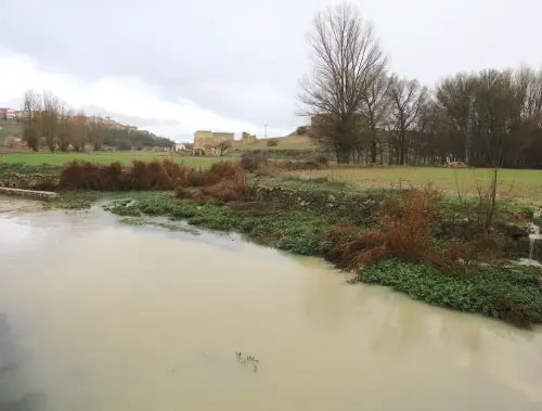 Rios085-Rio-Corcoles-en-Munera