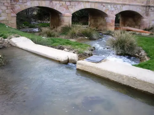 Rios085a-Rio-Corcoles-en-Munera