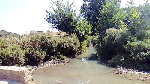 Rios085b-Rio-Corcoles-en-Munera