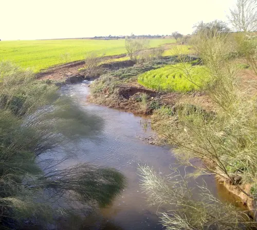 Rios086-Rio-Corcoles-por-Villarrobledo