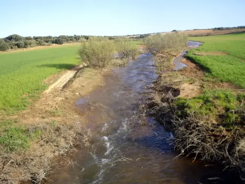 Rios087-Rio-Corcoles-por-Villarrobledo