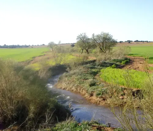 Rios087-aRio-Corcoles-por-Villarrobledo