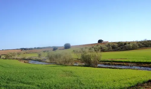 Rios088-Rio-Zancara-por-Villarrobledo