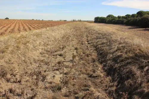 Rios089-Rio-Zancara-por-Villarrobledo