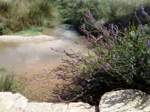 Rios089a-Rio-Zancara-por-Villarrobledo