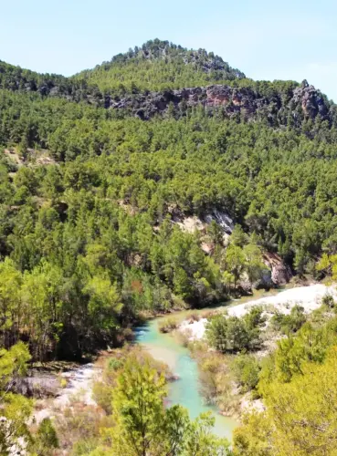 Rios146-Rio-Segura