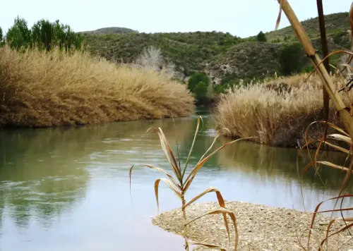 Rios161-Juntas-del-rio-Mundo-con-el-Segura