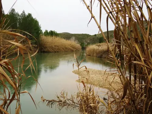 Rios161a-Juntas-del-rio-Mundo-con-el-Segura