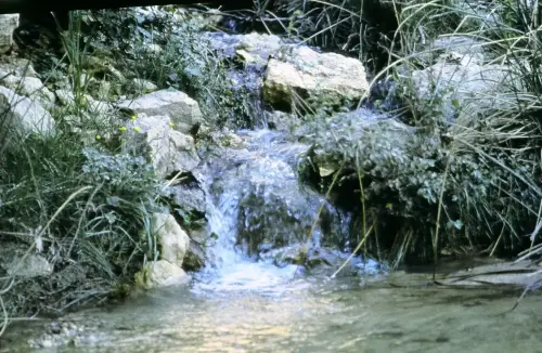 Rios200-Rio-Taibilla