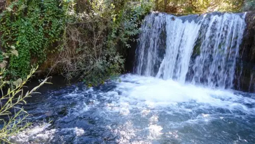 Rios200a-Rio-Taibilla