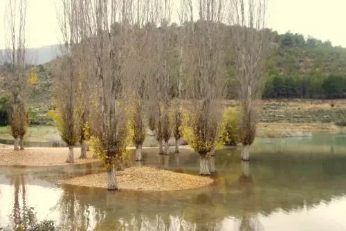 Rios202-Rio-Taibilla