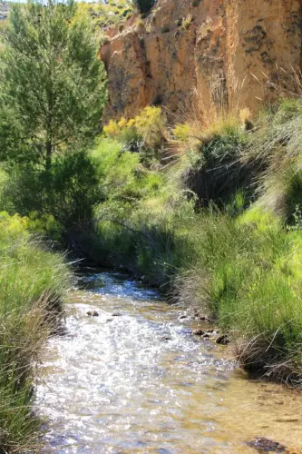 Rios204-Rio-Taibilla