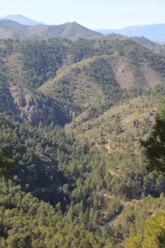 Rios205-Rio-Taibilla