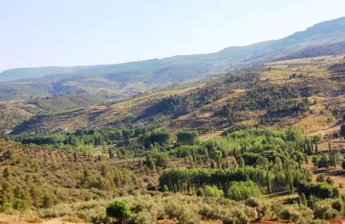 Rios207-Rio-Taibilla