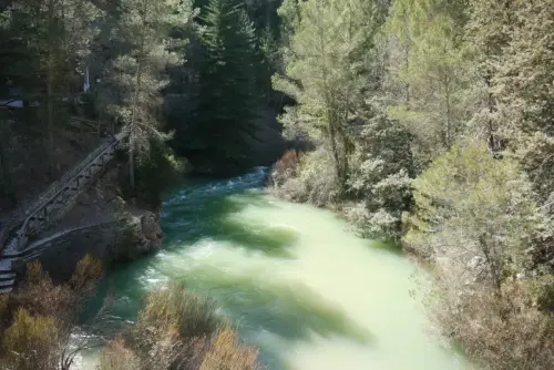 Rios211b-Rio-Zumeta-juntas-con-el-Segura