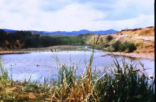 Rios220a-Rio-Guadalmena