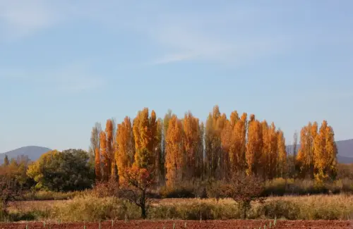 Rios222-Rio-Guadalmena