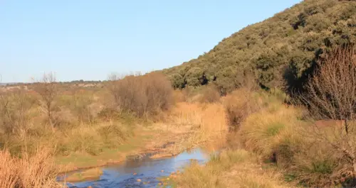 Rios227-Rio-Guadalmena