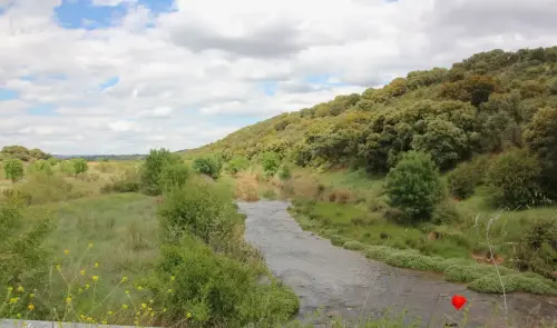 Rios228-Rio-Guadalmena