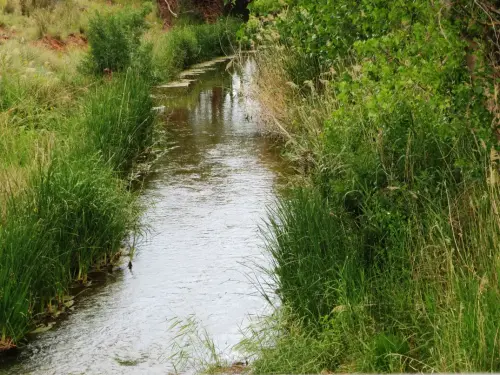 Rios229-Rio-Guadalmena