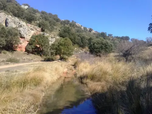 Rios232-Arroyo-de-Portelano-Penascosa