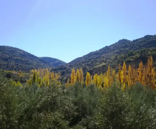 Rios233d-Rio-del-Salobre