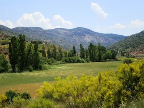 Rios234-Rio-de-La-Mesta-de-Villapalacios