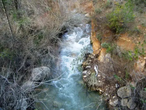 Rios235-Arroyo-Bravo-Yeste