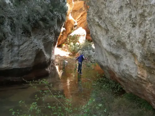 Rios236-Arroyo-de-Los-Vadillos-Molinicos