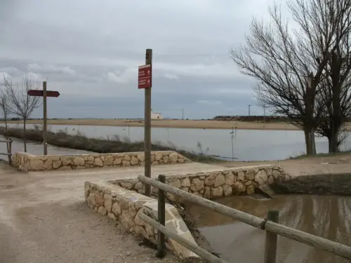 Canal-Ma-Cristina-Albacete11