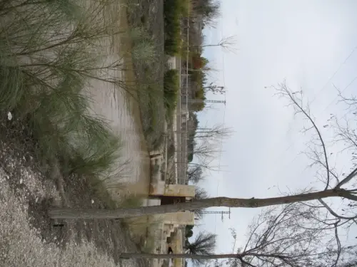 Canal-Ma-Cristina-Albacete16