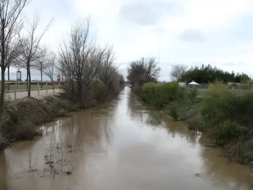 Canal-Ma-Cristina-Albacete18