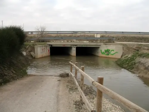 Canal-Ma-Cristina-Albacete22