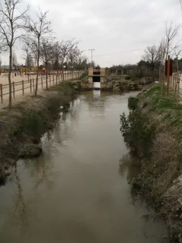 Canal-Ma-Cristina-Albacete23