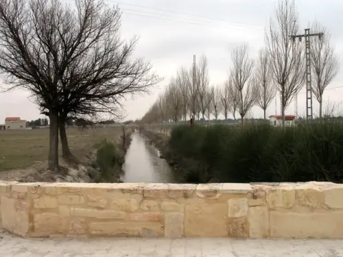 Canal-Ma-Cristina-Albacete24