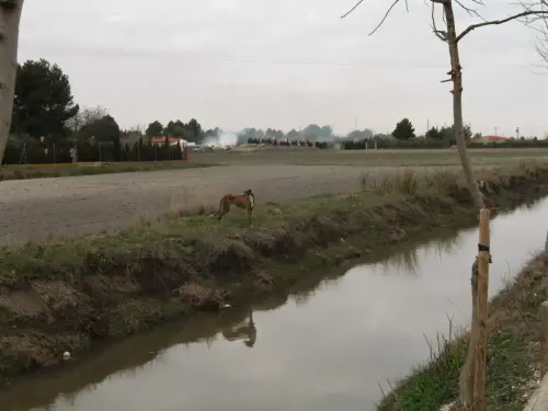 Canal-Ma-Cristina-Albacete25