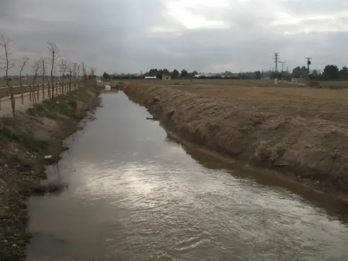 Canal-Ma-Cristina-Albacete26